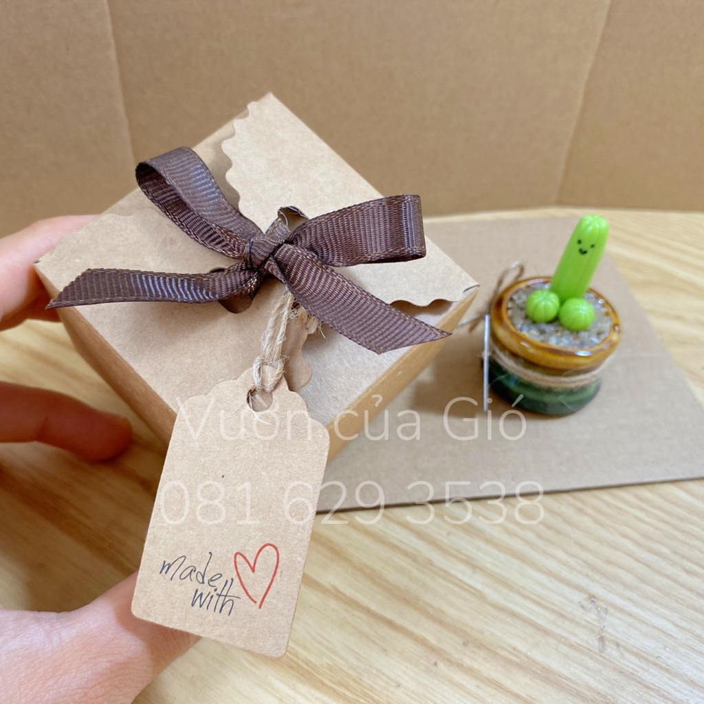 Quà tặng bạn trai, chậu xương rồng mini Cắc Tút