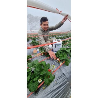 Chế phẩm sinh học EMINA đổ gốc can 5 lít