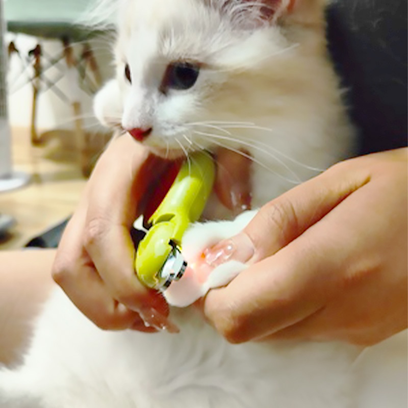 HamshMoc Kềm Cắt Móng Vuốt Có Đèn LED Chuyên Nghiệp Tránh Chó Mèo Bảo Vệ An Toàn