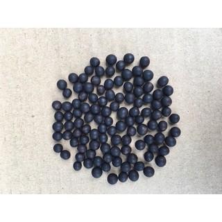 Hạt giống Dong riềng đỏ ( 200 hạt )