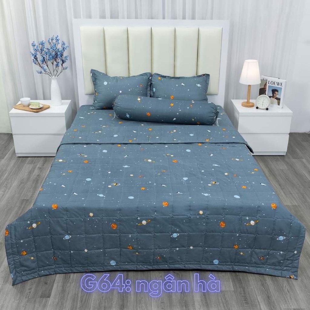 Chăn hè COTTON POLY trần bông 3 lớp hàng siêu đẹp có chọn mẫu,mẫu cây thông xanh