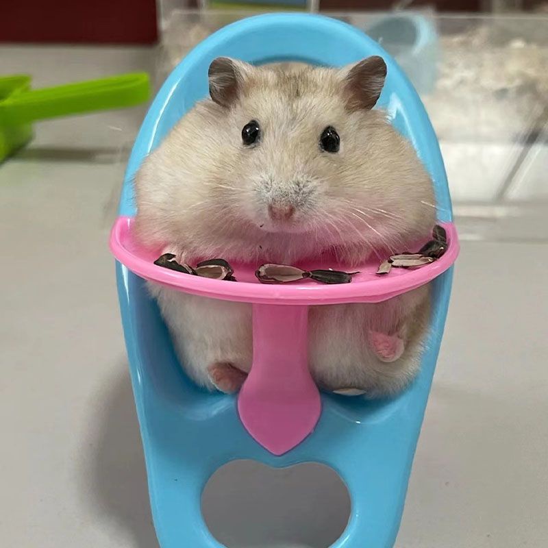 Bàn Ghế Ăn Tạm Thời Cho Chuột Hamster / Bàn Ăn Tạm Thời Hình Gấu Vàng Dễ Thương Cùng Phong Cách A +