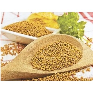 Hạt Mù Tạt Vàng - Mustard Seed 90Gr [ Nhập Khẩu Đức ]