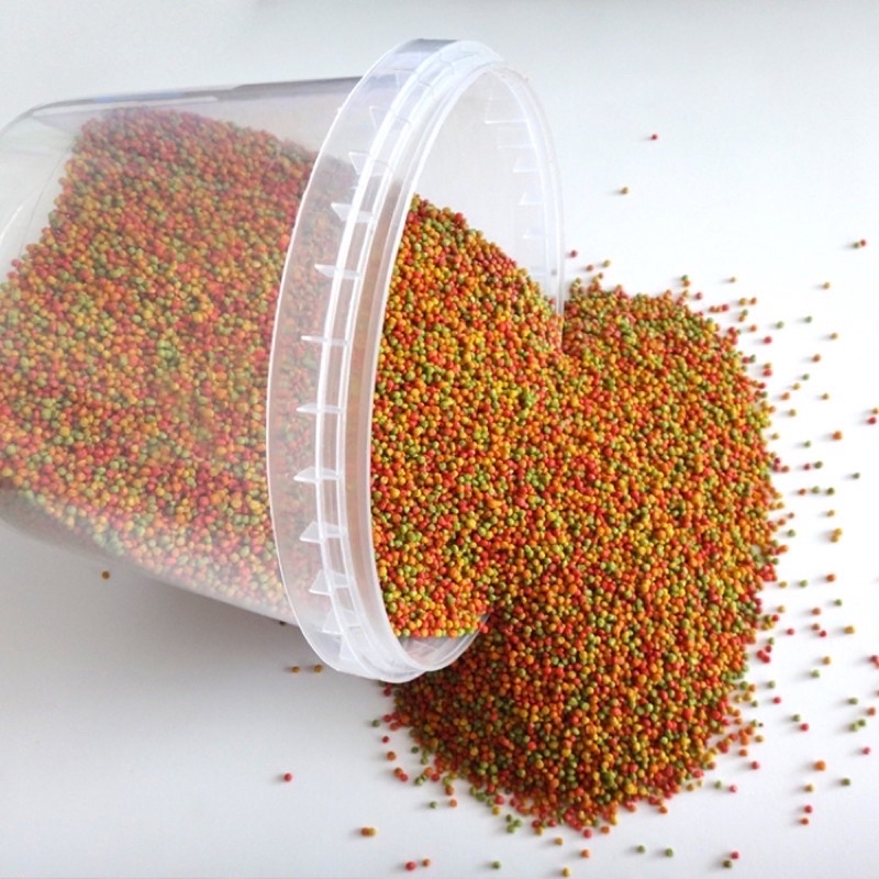 HẠT ZUM  CHO CHIM CHÀO MÀO