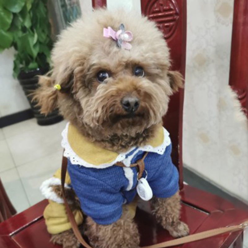 Kẹp Tóc Trang Trí Nơ Màu Hồng Dễ Thương Dành Cho Thú Cưng