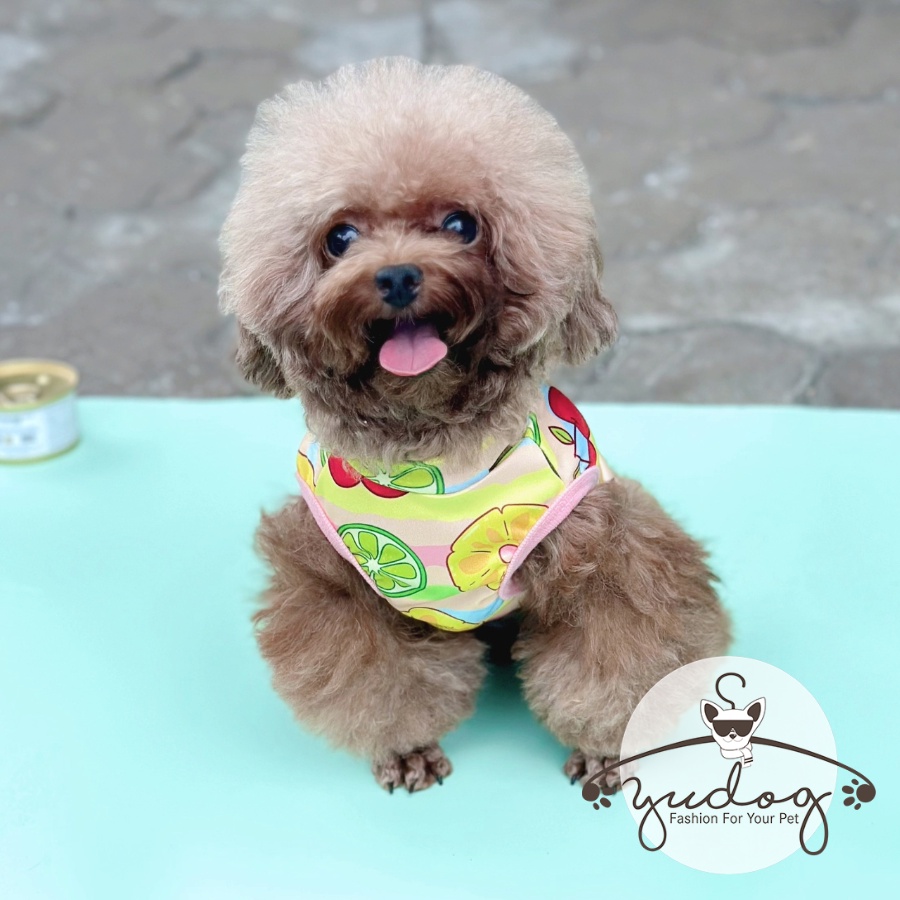 Áo thun poly sát nách yudog - áo chó mèo in họa tiết thời trang cho thú cưng