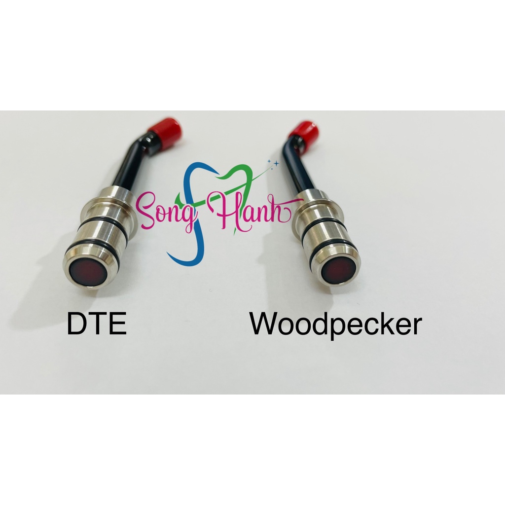 Ống dẫn quang - Đầu đèn trám răng DTE/ WOODPECKER