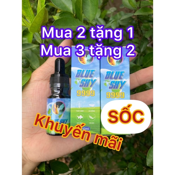 Blue Sky 9999 mua 2 tặng 1, mua 3 tặng 2