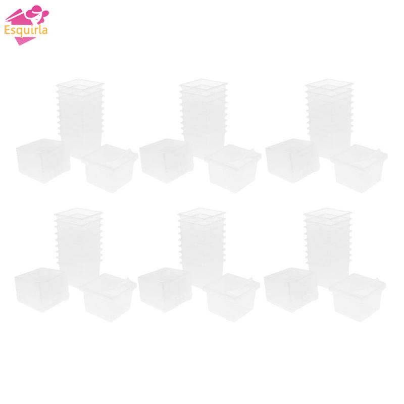 Bộ 60 Hộp Nhựa Bắt Côn Trùng Cho Bò Sát