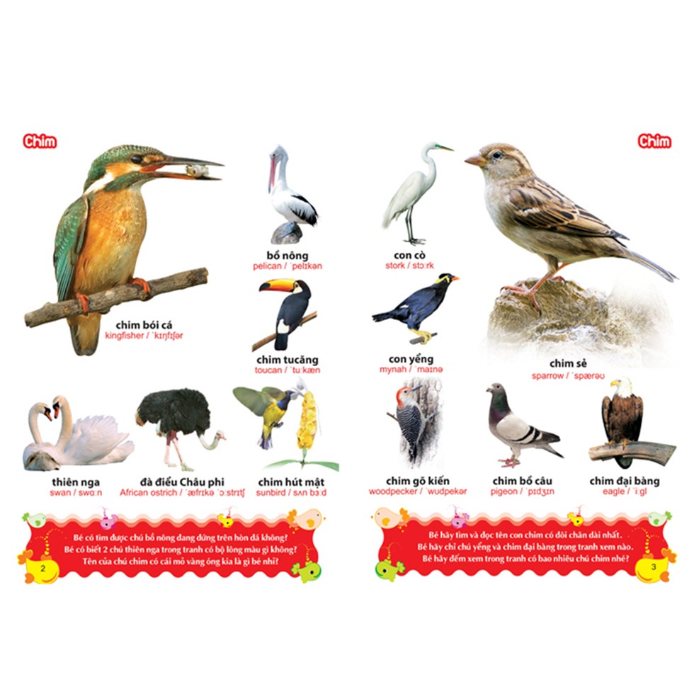 Sách: Từ Điển Tranh Về Các Con Vật (Bìa Cứng)