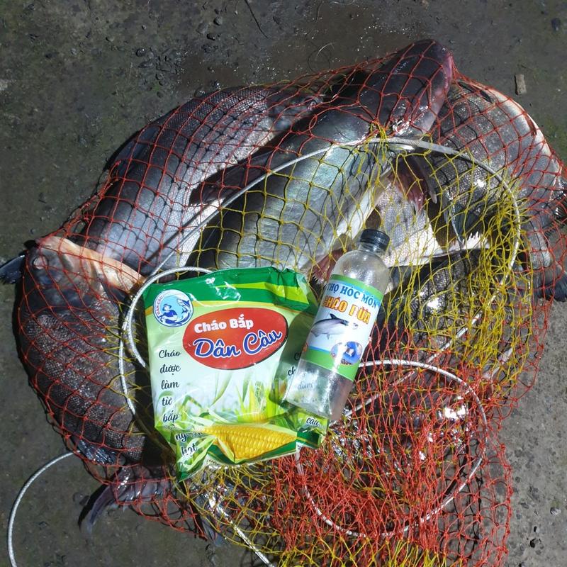 Cháo Dừa Câu Cá Thọ Hóc Môn