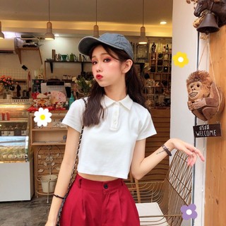 Áo Thun Polo Hàn Quốc Cổ Bẻ Dáng Ôm Dễ Phối Đồ Thời Trang Mùa Hè 2023