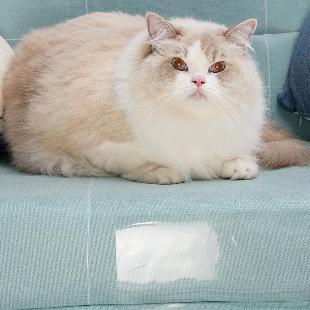 Miếng Dán Đồ Nội Thất Chống Mèo Cào Siêu Bền H9Y4