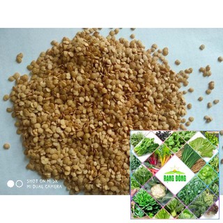 50 Hạt giống cà tím dài