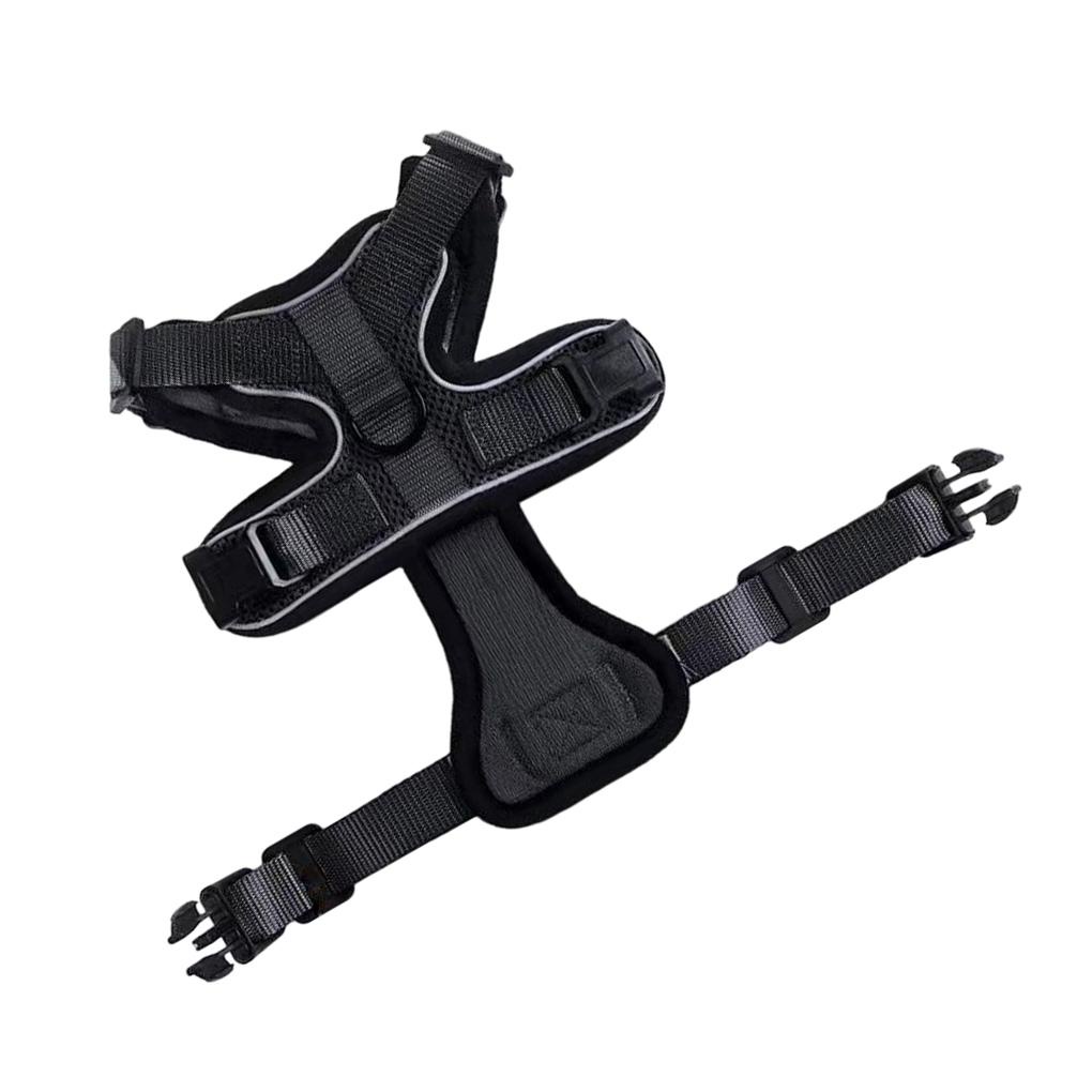 Bộ Dây Dắt Thú Cưng Đi Dạo An Toàn Thông Dụng Có Thể Điều Chỉnh