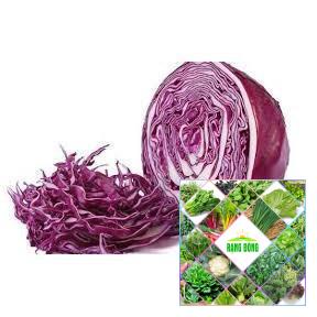 Gói 50 hạt giống bắp cải tím
