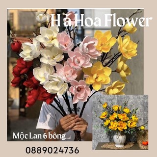 Hoa Mộc Lan Giả | Mộc Lan 6 Bông Đại | Hoa Mộc Lan Ngọc Lan Cao Cấp Hàng Loại 1 Trang Trí Nhà Cửa | Hà Hoa Flower