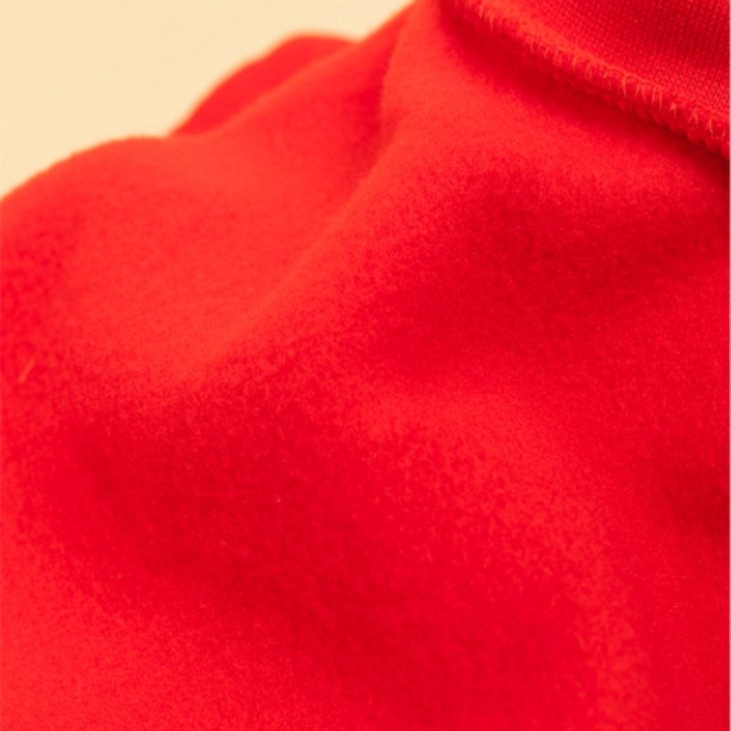 Áo Len Giữ Ấm Cho Thú Cưng Bomei Teddy Fadou Corgi