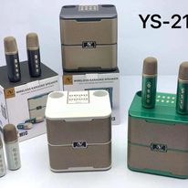 Loa karaoke mini kèm 2 mic YS213