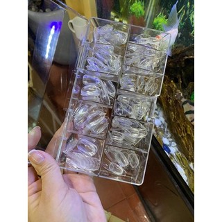 Móng úp hạt na trong nhám sẵn hàng quốc , hộp đủ 500 móng , HSM chuẩn chính hãng