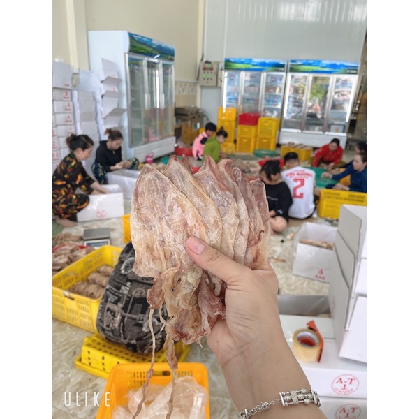 500 MỰC BẦU SIZE 4 AAAA Bao đẹp