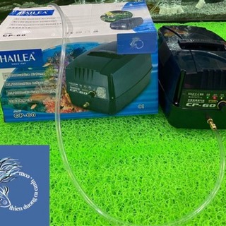 Máy Sủi Oxi Tích Điện Hailea CP60