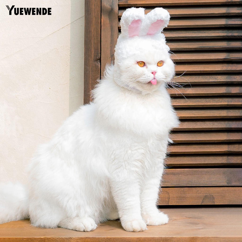 Mũ Cotton Tai Thỏ Hoạt Hình Đáng Yêu Cho Thú Cưng