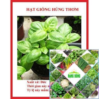 hạt giống rau húng hơm 200 hạt (é trắng) HAT F1