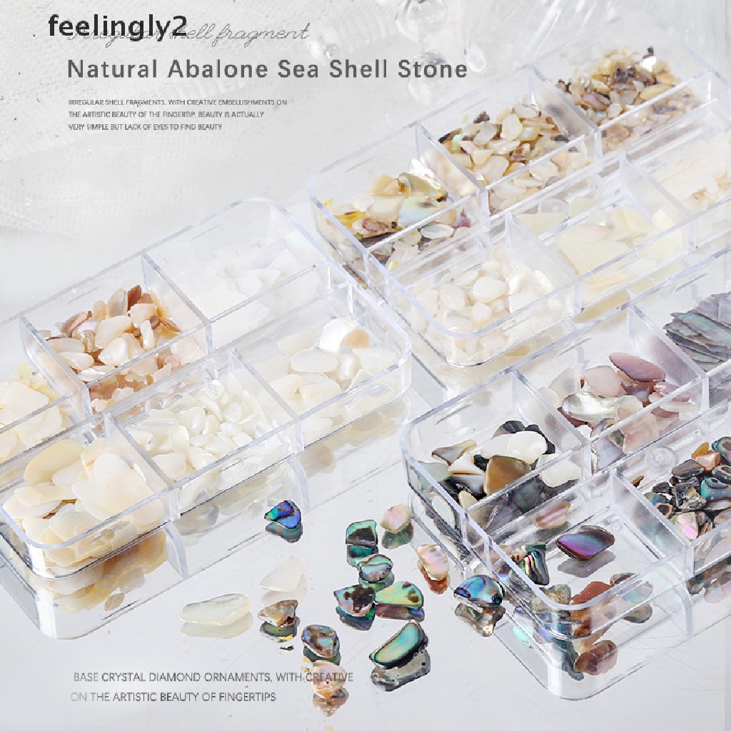Hộp Vỏ Sò 3D Trang Trí Móng Tay 6 Ngăn Độc Đáo DIY