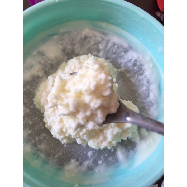 Kefir Grain Nấm sữa kefir làm sữa chua Kefir 5gr