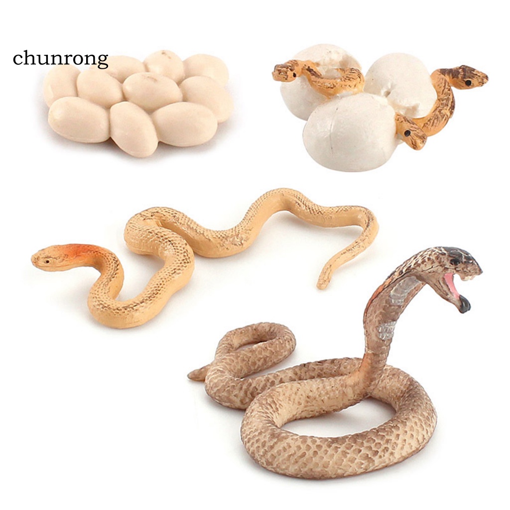 Cr Mô Hình Rắn Đồ Chơi Bằng Nhựa Cho Bé