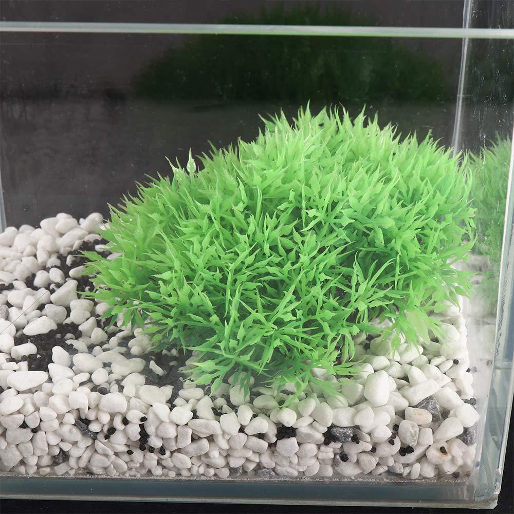 Cỏ Rong Biển Nhân Tạo Trang Trí Dưới Nước