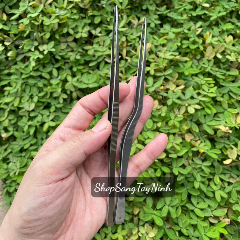 Nhíp Gắp Rái Tai Nghĩa Vina/ Thanh Sơn