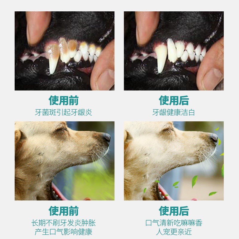 Khăn Lau Răng Cho Chó Mèo Chiếc Xuất Bạc Hà Mát Lạnh Dễ Chịu