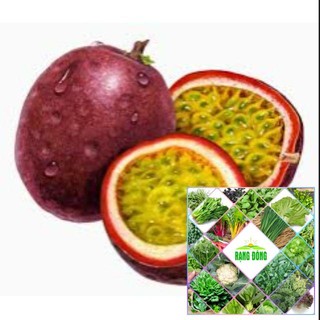Gói 20 hạt giống chanh leo