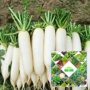 gói 200 hạt giống củ cải trắng