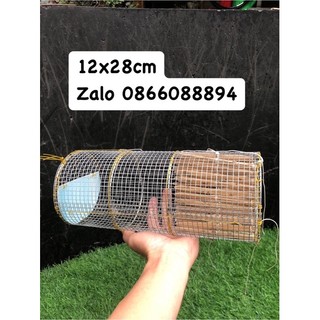 Bẫy ếch,Lợp ếch.🐸