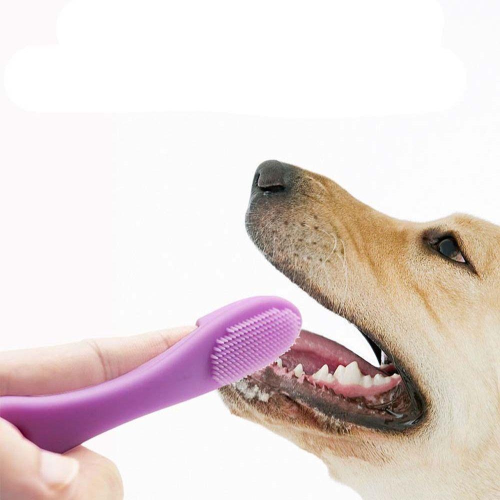 Bàn Chải Đánh Răng Mềm Mại Bảo Vệ Răng Cho Thú Cưng