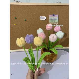 [Ảnh thật] CHẬU HOA TULIP LEN CÁC SIZE HANDMADE