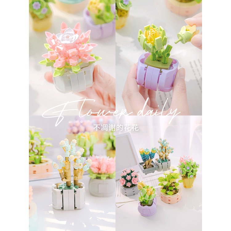 Bộ Đồ Chơi Lắp Ráp Đồ  trang trí  DIY WINWORLD Chậu Hoa Sen Đá  cây mini Sáng Tạo