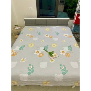 Chăn mền hè cotton chăn hè thu mát lạnh mền bông mùa hè