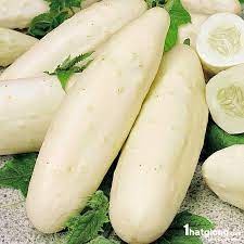 30 hạt giống dưa chuột trắng