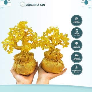 Cây kim tiền phong thuỷ cầu tài lộc - Gốm Nhà Kin