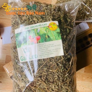 Cà gai leo khô hàng sạch sẽ, đảm bảo 1kg