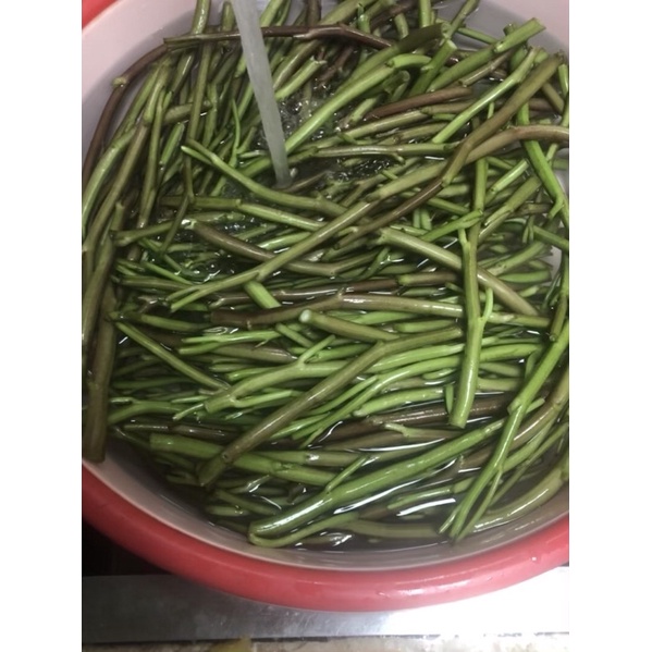 DƯA RAU MUỐNG ĐỒNG CHUA NGỌT SIÊU NGON 1kg/hủ