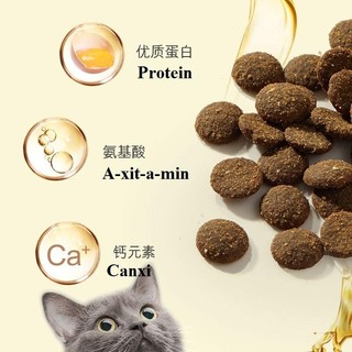 [Gói Dùng Thử 50gram] Hạt Dùng Thử Cho Mèo Các Loại