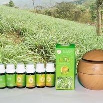 Tinh dầu sả java nguyên chất 10ml