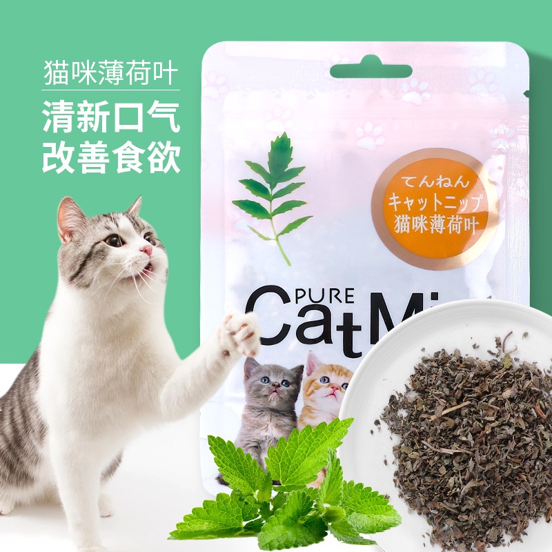 CỎ BẠC HÀ CatMint CHO MÈO thích thú Gói 5g | Cỏ mèo | đồ chơi cho mèo | thức ăn cho mèo
