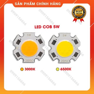 Chip led cob 3w 5w 7w 10w -qua chấn lưu