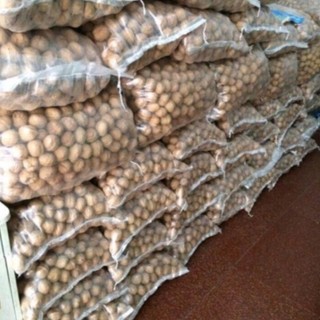 Quả óc chó nếp - óc chó giấy Tây Bắc hàng loại 1 to đều thơm ngon -1kg